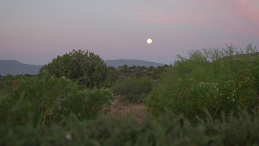 Desert landscape at dawn with moon shining.
