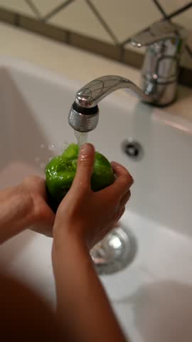 Rinsing freshly harvested green bell pepper under running water in kitchen sink for cooking