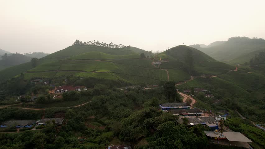 Aerial view of tea plantation rows with woman worker collecting tea, Munnar, India. Beautiful green landscape Of Munnar Tea Plantations, Kerala, South India