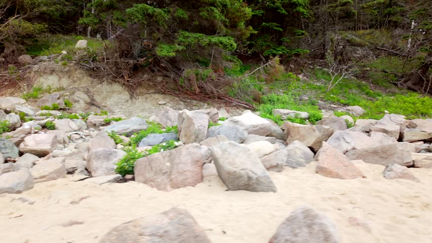 Rocky beach shore Acadia National Park, Maine, USA