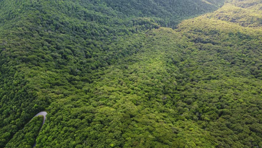 Serene Aerial View of the Lush Green Appalachian Forest near Brasstown Bald, Georgia
