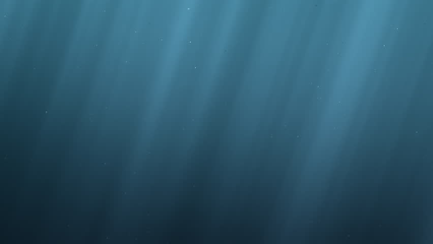 Great White Shark Megalodon Appears from the Deep and Attacks. Realistic Scary 3d animation, 4K Ultra HD 3840x2160