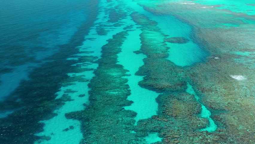 Aerial View of vibrant coral reef of White Sands Beach in Punta Cana, Dominican Republic. Video showcases revealing intricate patterns of coral formations below