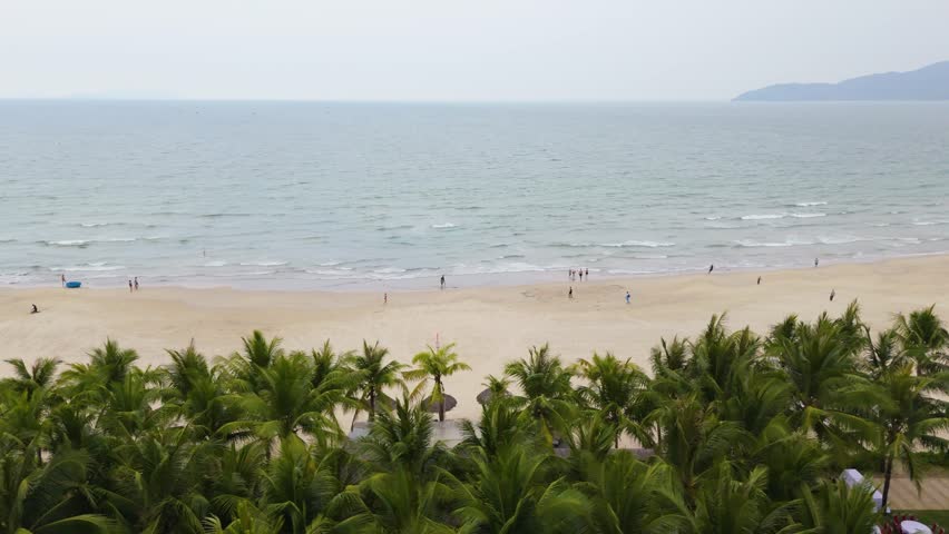 Beautiful Beach Area in Da Nang Vietnam Palm Trees with People walking along the Beach, My Khe Beach