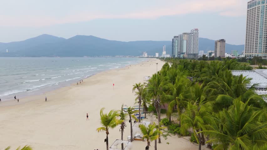 Coconut Trees along Da Nang Beach Aerial Drone Shot, Miami of the East, Mye Khe Beach, Red Flag no Swimming