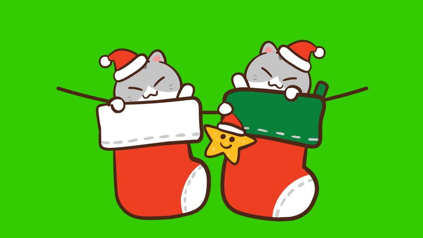 Animated Cute Cat Waving in Socks - Green Screen