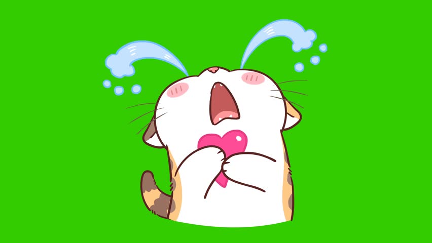  Animated Little Cat Crying - Green Screen