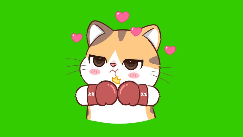 Animated Kitten Wearing Gloves Threatening to Punch - Green Screen