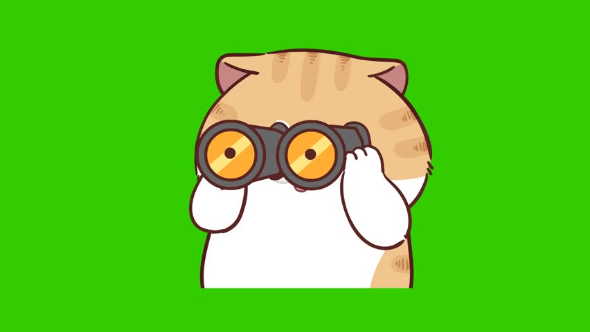  Animated Funny Cat Looking Through a Telescope - Green Screen