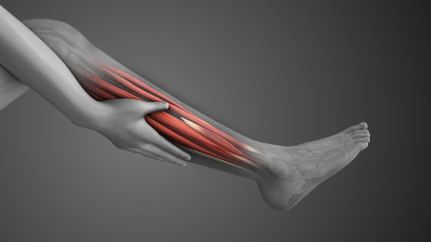 Cramping in the leg muscles