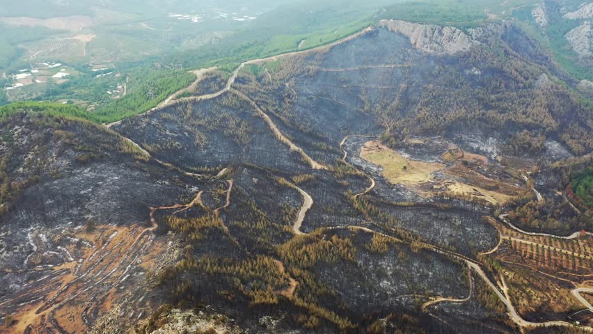The forest and the villages and houses in the forest were greatly damaged by the fire. The destroyed nature trees, wildlife, vegetation, houses, cars, agricultural tools, the image after the fire. 