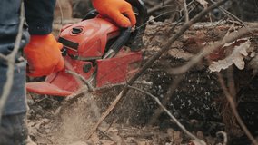 A close-up of a lumberjack working with a chainsaw. Hands in orange gloves are holding the chainsaw, cutting through the tree. Fallen leaves around the tree create an autumn atmosphere - Powered by Shutterstock - Get 15% off with code: PIKWIZARD15