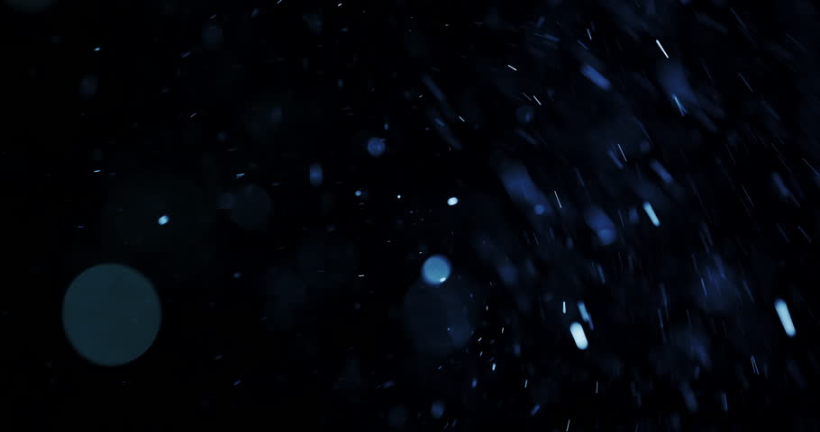 Shutterstock Video
