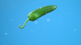 Single green jalapeno chili bell pepper jumping in air with water droplets. Condiment for cooking. High quality cinematic studio commercial super slow motion 1000fps fresh pepper moving up and down. - Powered by Shutterstock - Get 15% off with code: PIKWIZARD15