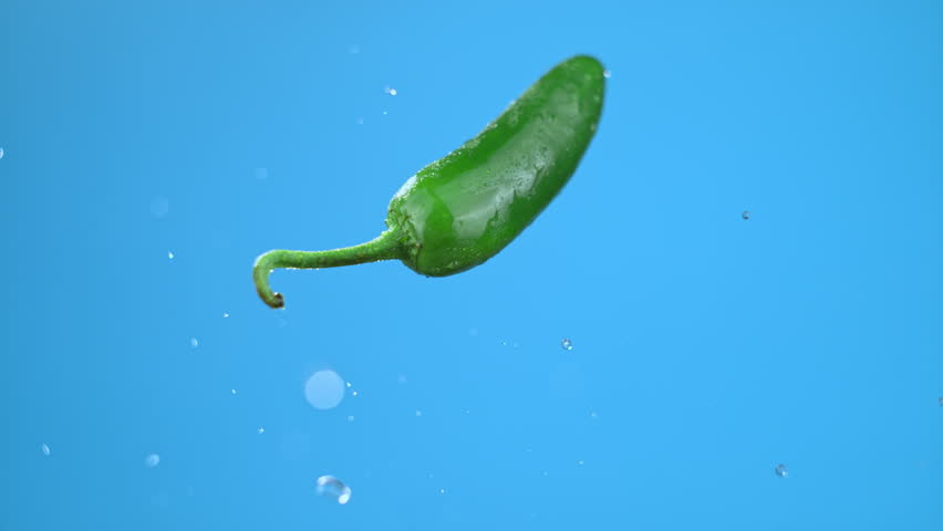 Single green chili bell pepper jalapeno flying in air, fresh vegetables cooking ingredients. High quality cinematic studio commercial super slow motion 1000fps fresh pepper moving up and down. - Powered by Shutterstock - Get 15% off with code: PIKWIZARD15
