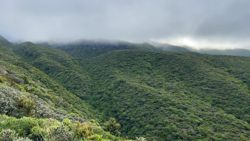 Slow pan across the foothills in Taranaki National Park from the East Egmont side