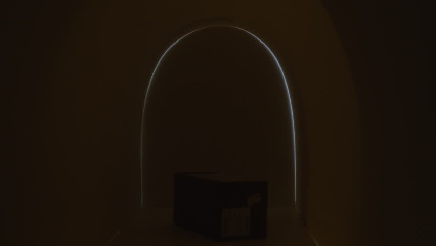 Young joyous woman opening mailbox, picking up parcel in cardboard box, smiling and clapping hands. View from inside of mailbox