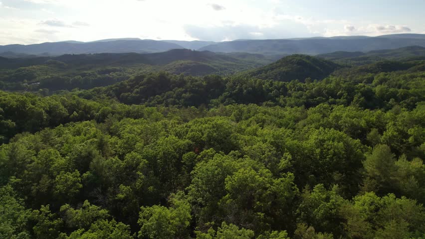 West virginia - 7.5.2024 - amazing aerial footage moving over hills and trees of a valley in the appalachians of west virginia.