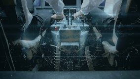 Pilots operating aircraft controls with digital network connections animation over cockpit. Aviation, technology, innovation, connectivity, piloting, aerospace - Powered by Shutterstock - Get 15% off with code: PIKWIZARD15