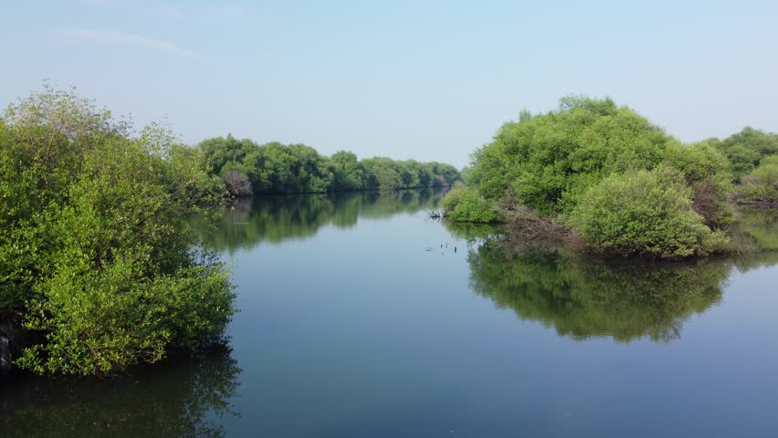 The drone captured a pitch forward view of the river channel flanked by dense green mangrove forests.