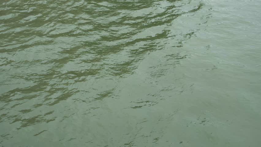 Close-up of river, Seine river, Seine water, water pollution