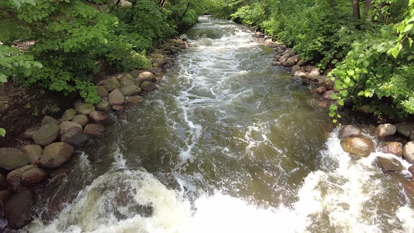 The moving creek surrounded by green trees in the summer at Minnehaha Regional Park in Minneapolis, Minnesota, U.S.A