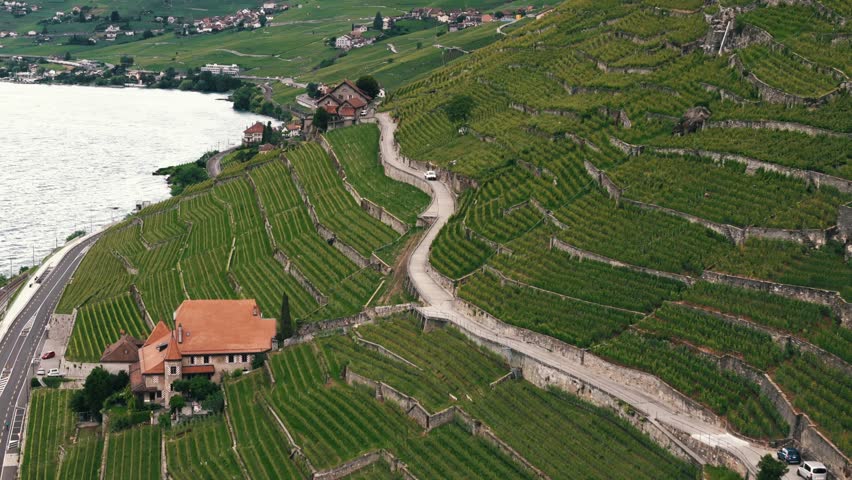 Aerial establishing dolly of vineyards along slopes of Lake Geneva in Lausanne Switzerland