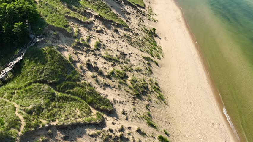 Aerial pass along the lush sandy shore.
