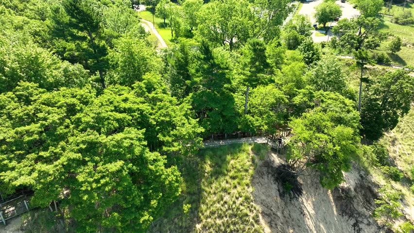 Lush blooming trees along the inland dunes.