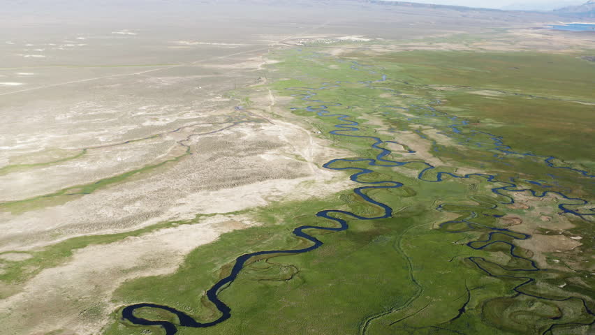Winding owens river through lush green fields and arid landscapes in owens river gorge, aerial view