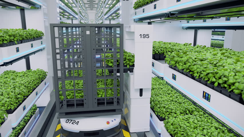 Autonomous farm robots transporting organic grown herbs in automated vertical greenhouse. Vertical smart farming concept. Future sustainable agriculture technology. 3d animation rendering