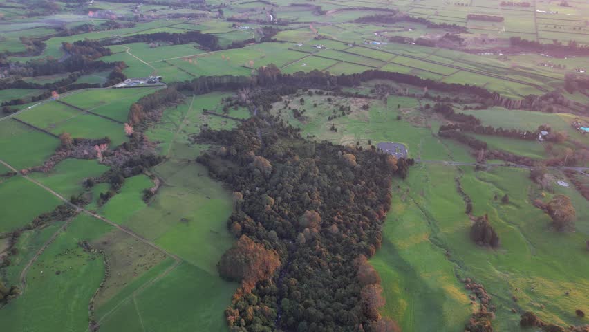 Rural Landscape With Green Fields And Lush Vegetation In Waikato, North Island, New Zealand - Aerial Drone Shot