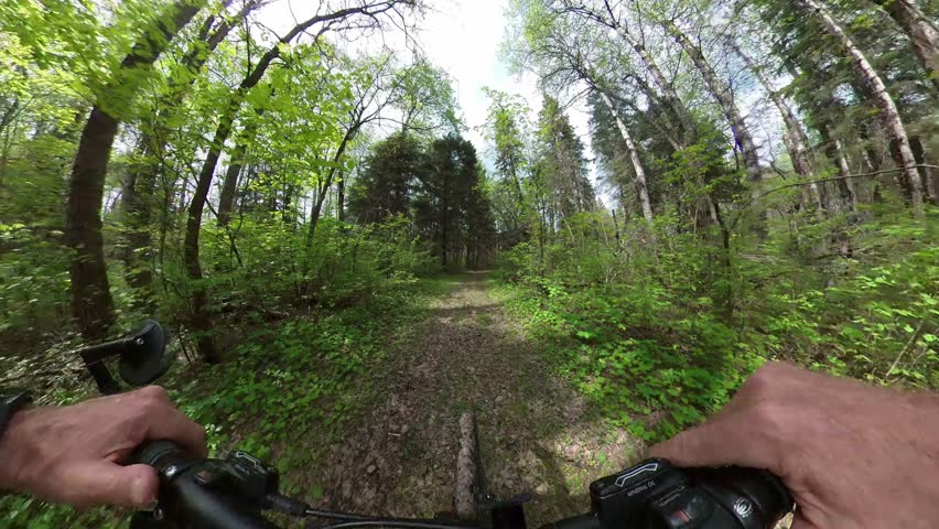 Distorted wide angle point of view from a mountain biker as he cycles along a tracked that runs through a green forest. The view includes the cycler’s hands and the front wheel of the bike,
