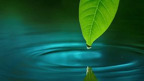 Green leaf with drop on rippling cool blue green water background.Water droplets descend, creating a ripple's embrace. - Powered by Shutterstock - Get 15% off with code: PIKWIZARD15