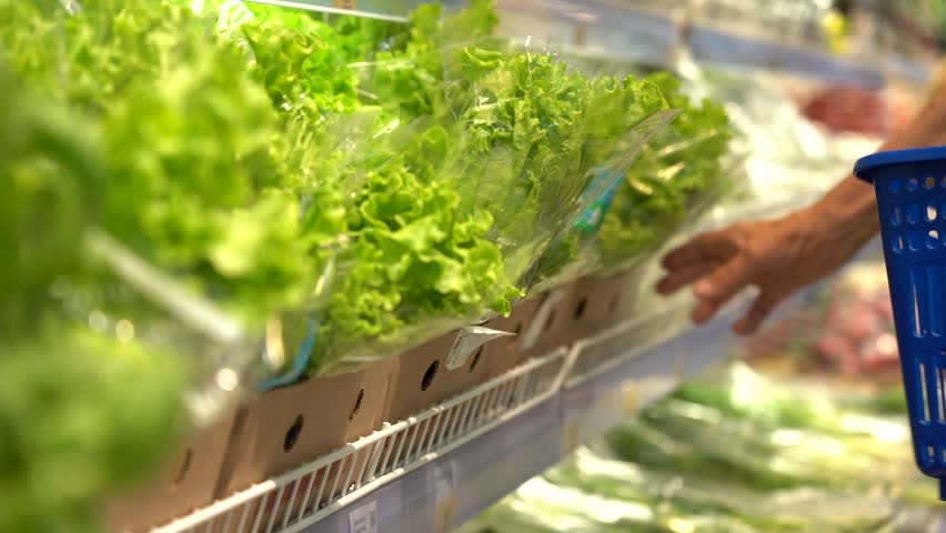 Mature man picks out a bunch of lettuce in a supermarket close-up. Pensioner during shopping