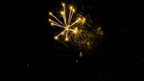 Captured by a drone on July 4th, this footage shows Miami Beach’s stunning fireworks. Starting with the launch station on the sand, it ascends to focus on the vibrant display against the night sky. - Powered by Shutterstock - Get 15% off with code: PIKWIZARD15