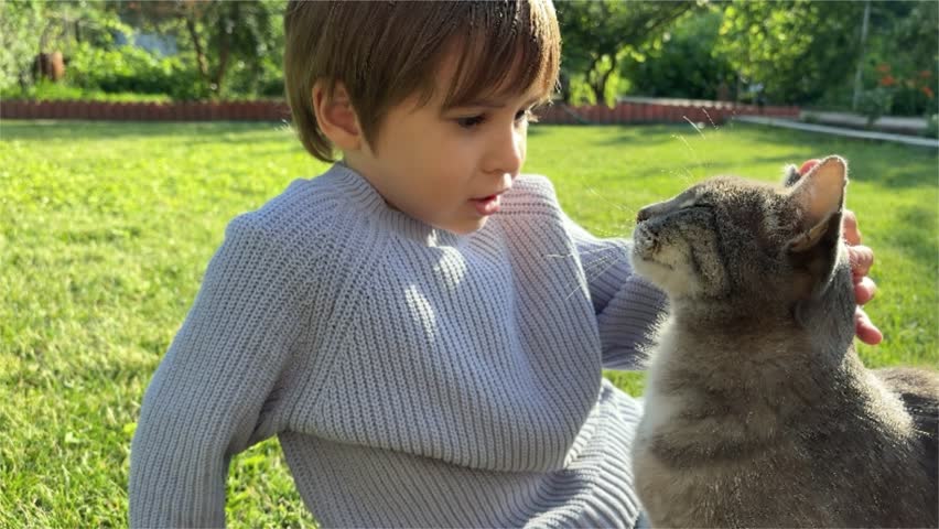Happy boy toddler is hugging and playing with his favorite grey cat in the yard sitting on the green grass. Cheerful family and friends