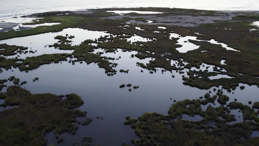 Swamp wetlands keep the waters calm on otherside of beach in Chincoteague Island Virginia, slow motion