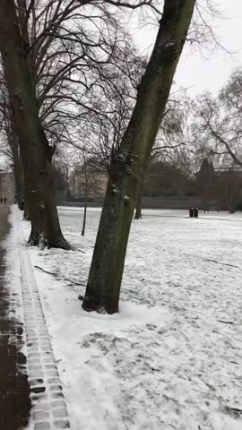 Winter and trees with snow landscape - Park - Cambridge