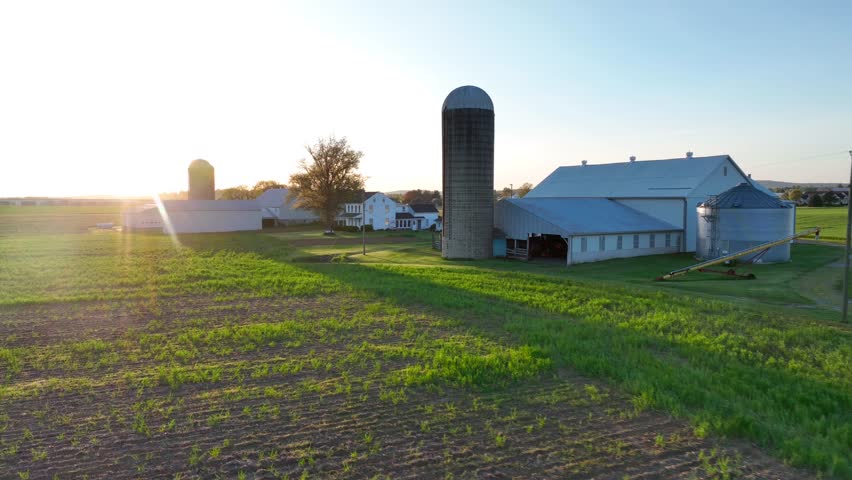 Aerial flight over green cultivated fields and farm house with silo in rural area. Sunset time with sun rays at horizon. USA, American Countryside.