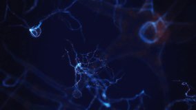 3D HUD animation Digital depiction of neurons firing electrical impulses. Brain nerve cell activity, neurogenesis, neurotransmitters, synapse function. Nervous system research - Powered by Shutterstock - Get 15% off with code: PIKWIZARD15