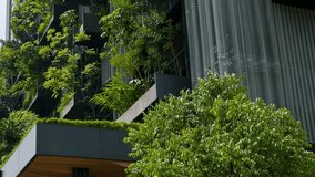 Building facade with green plants growth on the wall. Vertical garden in Kuala Lumpur city, Malaysia. Eco friendly urban environment. Sustainable modern and ecological architecture - Powered by Shutterstock - Get 15% off with code: PIKWIZARD15