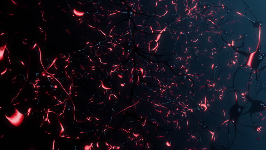 3D animation Depicting neurons firing electrical impulses. Brain nerve cell activity, neurogenesis, neurotransmitters, synapse function. Nervous system exploration