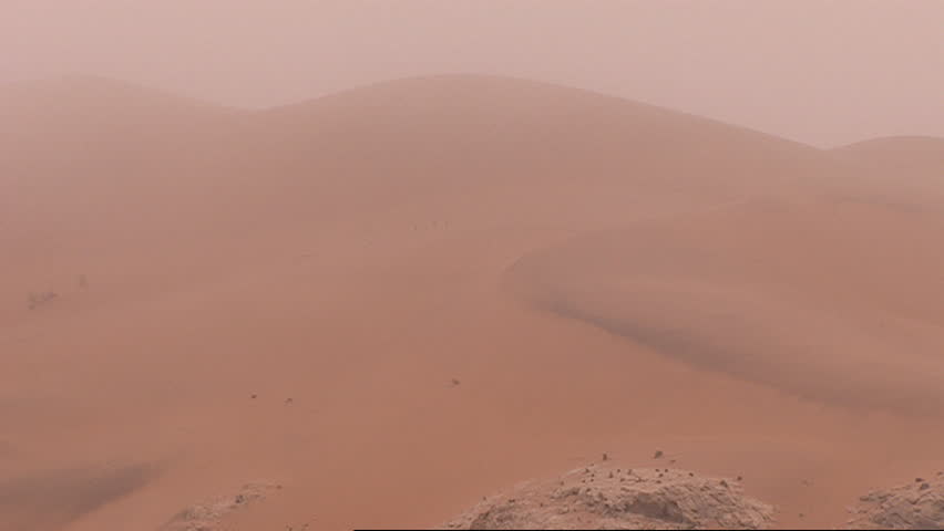Desert landscape