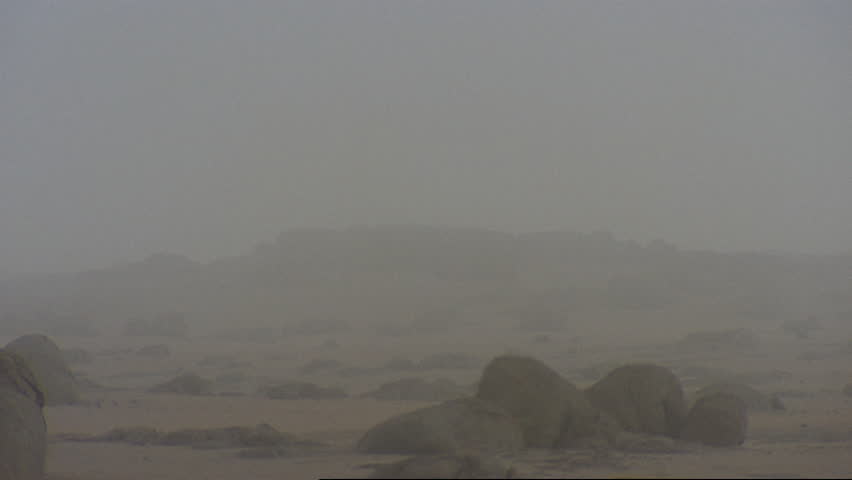 Desert landscape