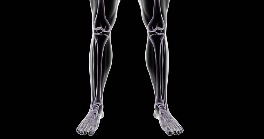 Xray, knee and joint pain with red glow for stem cell therapy, torn meniscus and treatment of radiographic imaging. Leg, skeleton and diagnostic scan for anatomy accident, arthritis or medical injury