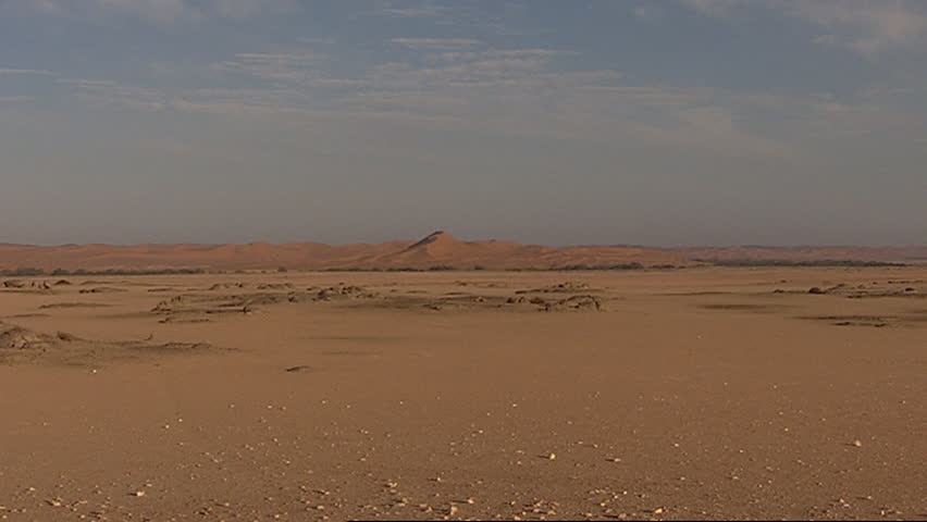 Desert landscape