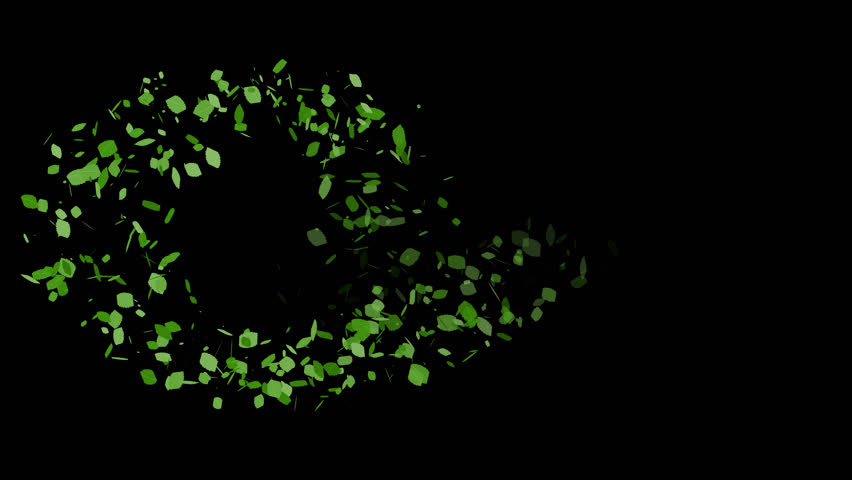 animated fresh green leaves flying, animation video isolated on alpha channel(transparent) background.