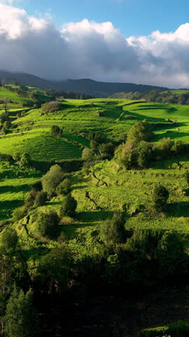 Vertical. green mountains of Sao Miguel island in atlantic ocean, Azores, Portugal, Europe. Overhead view of green farm meadows covering