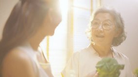 4K Happy Asian family shopping grocery and vegetables at market together. Mother and daughter unpacking vegetables and food in cotton sustainable reusable mesh shopping bag in the kitchen at home. - Powered by Shutterstock - Get 15% off with code: PIKWIZARD15